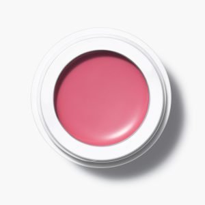 All over colour - Dianthus