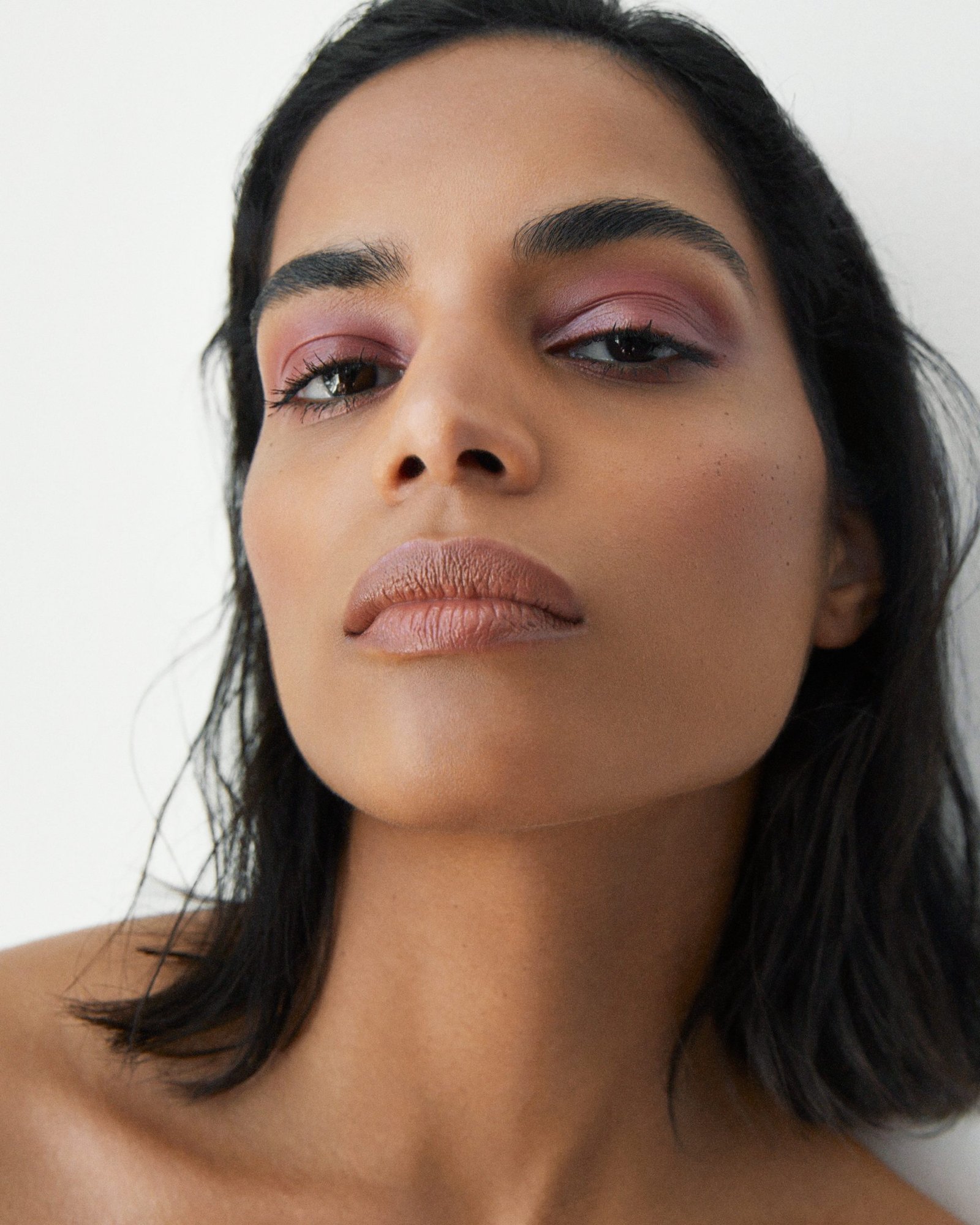 All over colour - Dianthus - Imagen 4