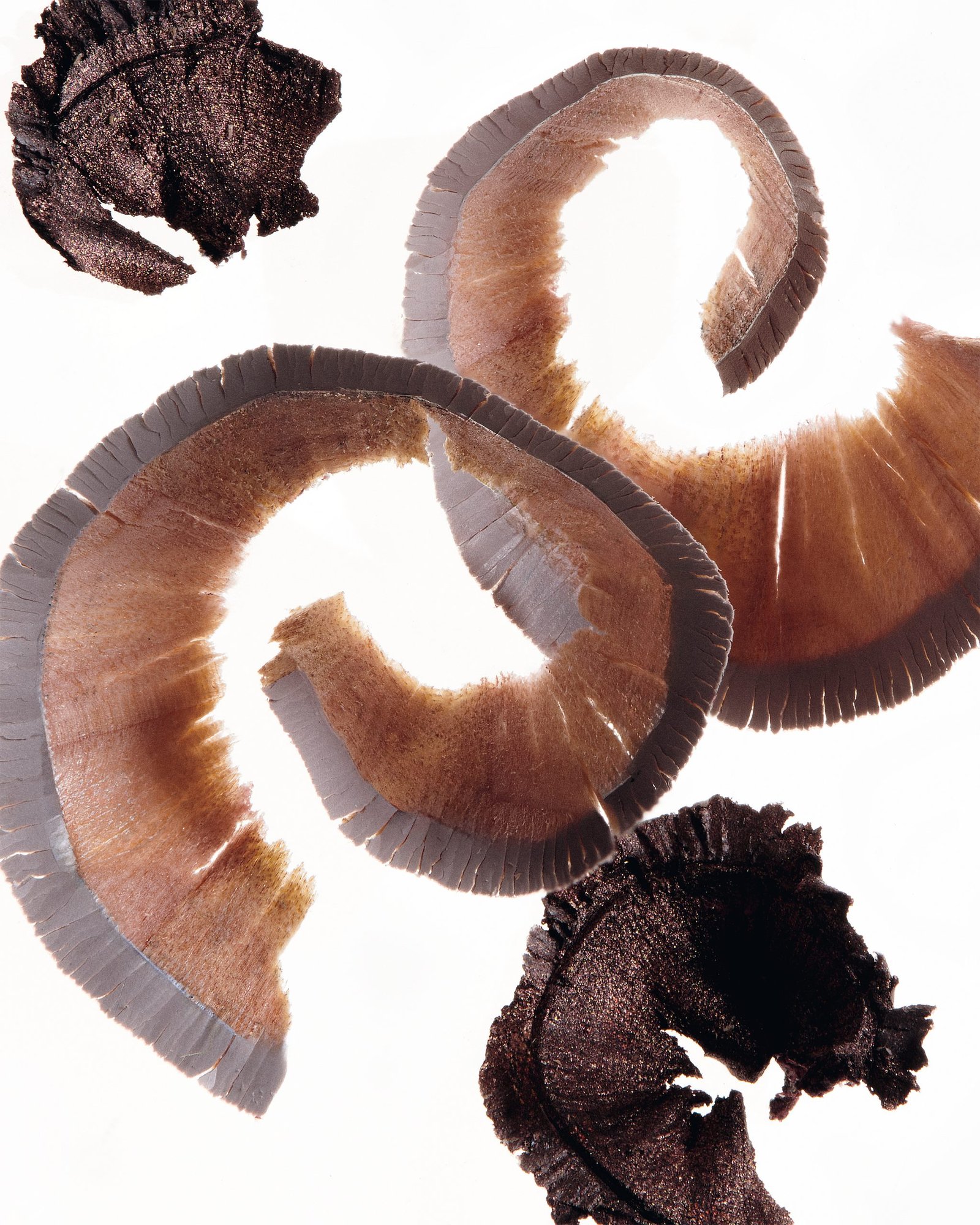 Eye and lip definer - Nocturne - Imagen 2